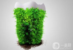 種植牙的利與弊 種植牙的優(yōu)點(diǎn)和缺點(diǎn)