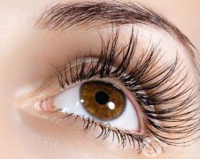 種睫毛要多少錢(qián) 種睫毛價(jià)格是多少