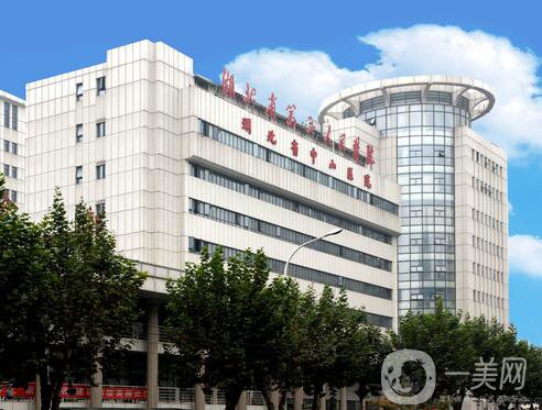 湖北省中山醫(yī)院整形科價格表完整版本公布出爐