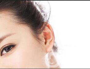 廣東豐耳垂多少錢