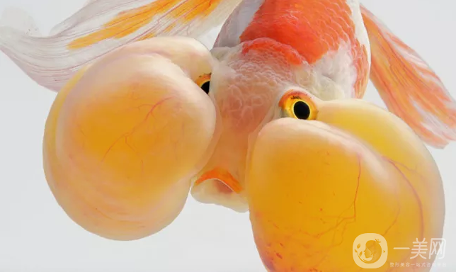 腫泡眼雙眼皮修復(fù)價(jià)格 