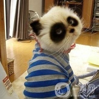 射頻去黑眼圈貴嗎