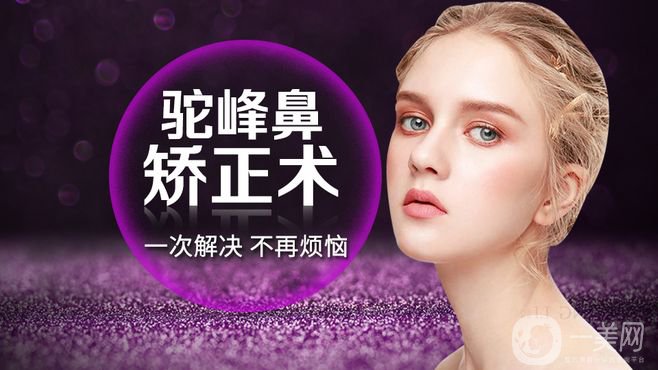 駝峰鼻矯正的價格