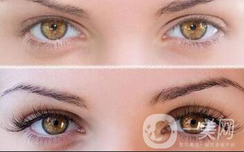 種睫毛多少錢(qián)