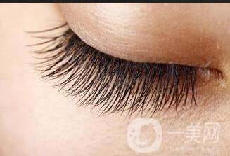 種睫毛多少錢(qián)