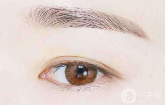 繡眉的價(jià)格是多少 繡眉分幾種類型