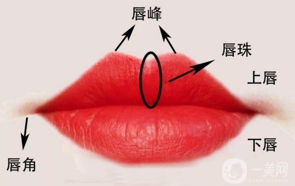 玻尿酸豐唇用小分子嗎 玻尿酸的作用有哪些