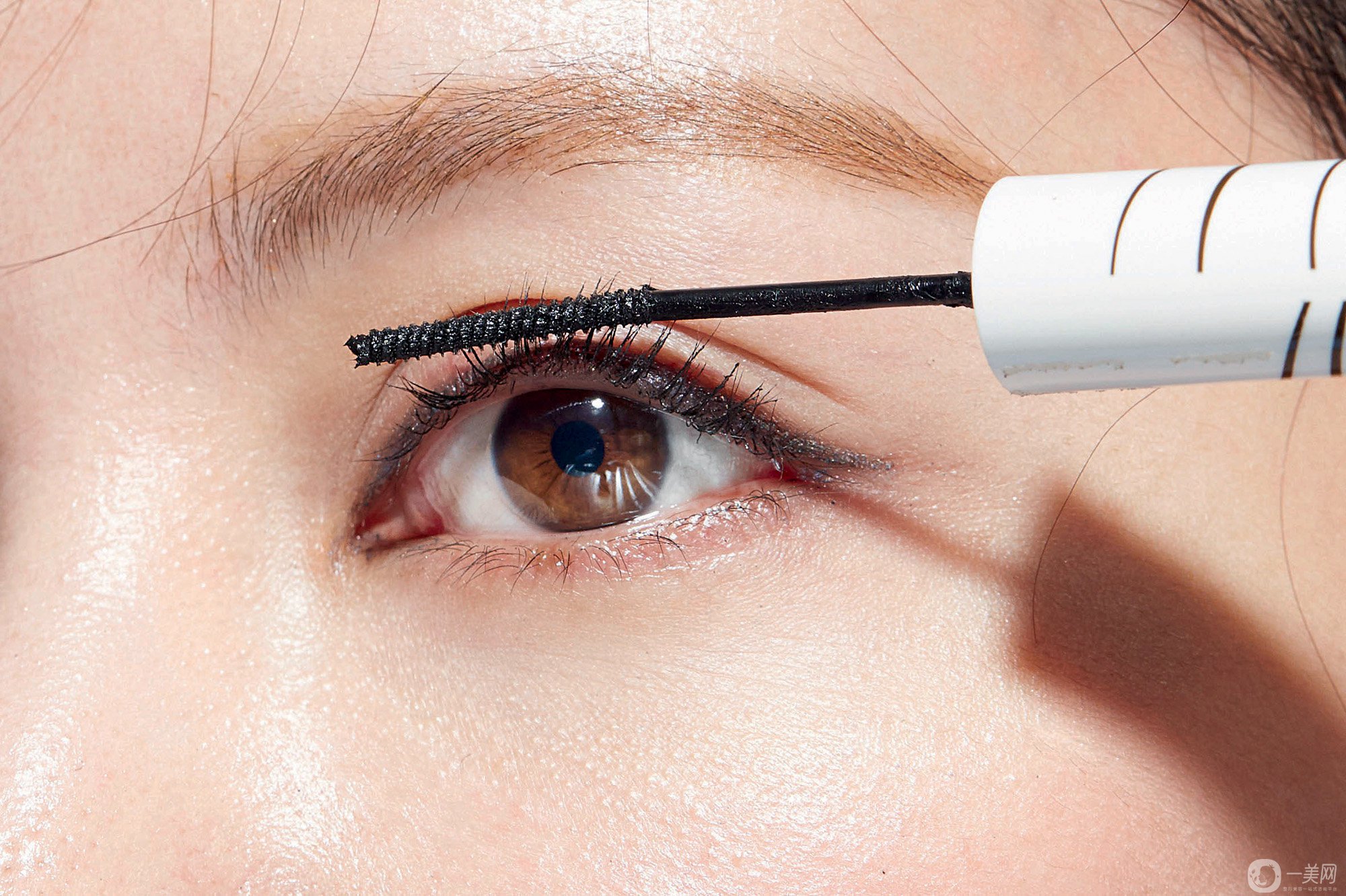 全切雙眼皮多久自然 手術有年齡限制嗎？