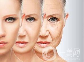 一針除皺多少錢