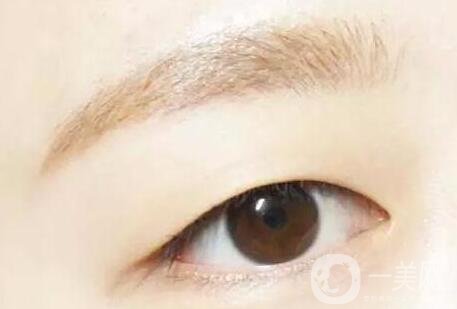 丹鳳眼是什么樣兒的？好看嗎？