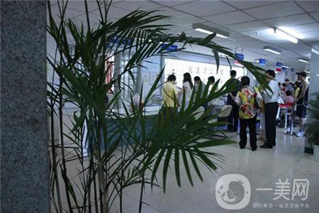 福建省立醫(yī)院整形外科價格表新版流出，速看