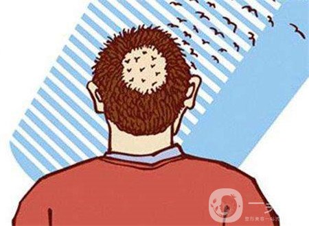 毛發(fā)種植費用大概要多少錢？