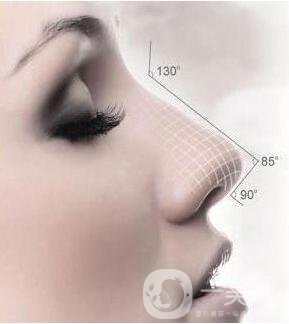 現(xiàn)在這個行情墊個鼻子多少錢?貴不貴?