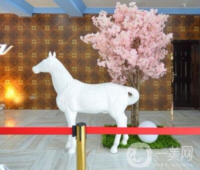 鹽城大豐維多利亞整形價(jià)格表2020新版鉅惠來襲