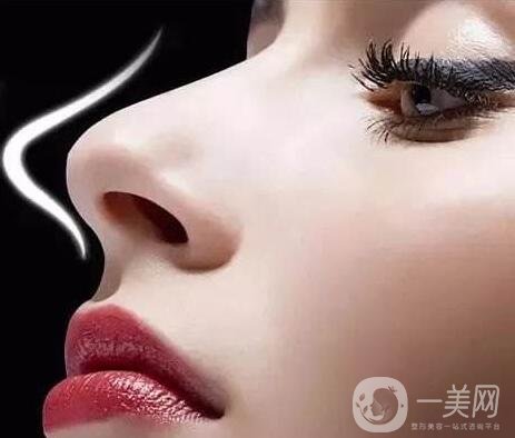 上海做隆鼻哪些醫(yī)院好?哪些醫(yī)生做得好?（列表供選擇）