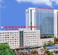 昆明隆鼻醫(yī)院推薦介紹！口碑積累知名度高！價(jià)格透明！