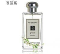 祖馬龍香水味道排名，藍(lán)風(fēng)鈴居首，哪款吸引你？