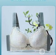 潤微茶肌內衣：舒適聚攏，展現自信魅力