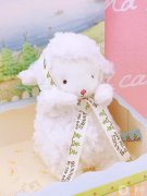 ＂平價(jià)小物推薦：讓日常生活增添別樣色彩＂