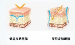 初秋養(yǎng)膚：理解并修復(fù)皮膚屏障