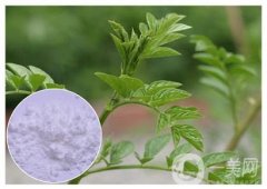 光甘草定——美白淡斑的黃金成分