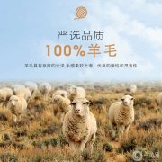 純羊毛是100羊毛含量嗎