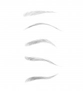 什么樣的眉形顯年輕