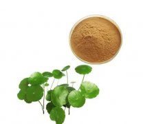 植物提取成分在護(hù)膚品中的功效與應(yīng)用