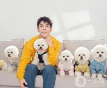 網(wǎng)絡(luò)暴力之痛：公眾人物如何應(yīng)對(duì)？