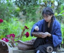 李子柒與“中國風(fēng)”的全球魅力：文化輸出的新典范