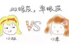 雙眼皮的類型有哪些？哪些人適合