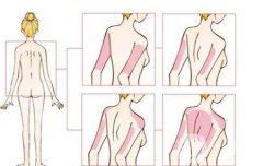 埋線減肥后沒有效果是因?yàn)槭裁?></a>
                            <div   id=