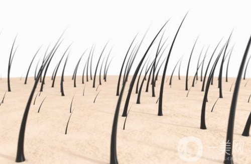 天津植鬢角大概多少錢?